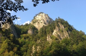 Sokolica