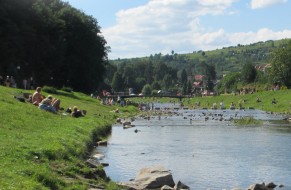 Grajcarek