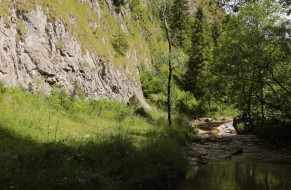 Wąwóz Homole