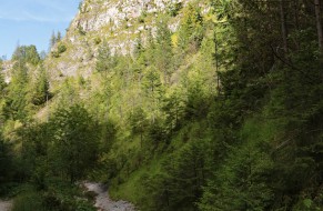 Wąwóz Homole
