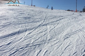 Polana Sosny - trasa niebieska  800m